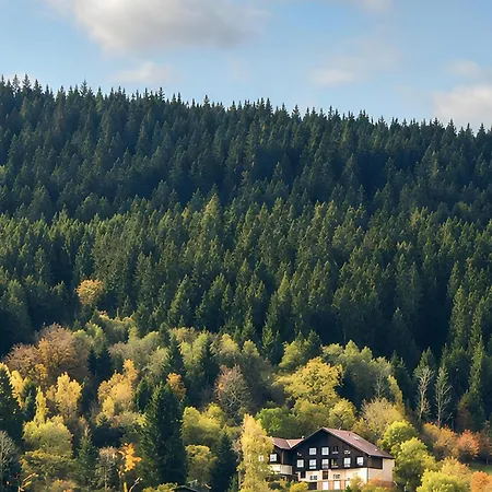 Le Bellevue